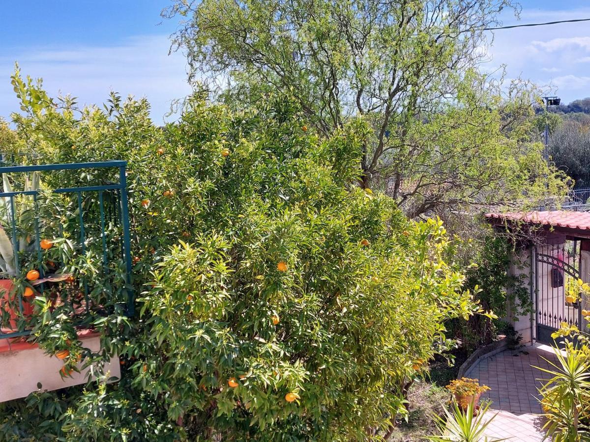 لانشانو B&B Villa Mia المظهر الخارجي الصورة